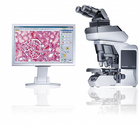 OLYMPUS BX46
